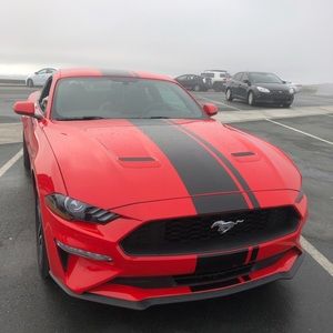 Meet your Posher, Brehanna